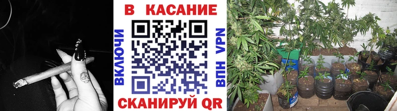 Купить наркотики Урень Каннабис СК ГАШ