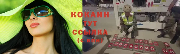 мяу мяу мука Новодвинск