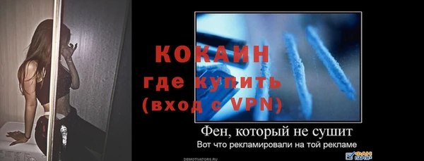 соль ск Инсар