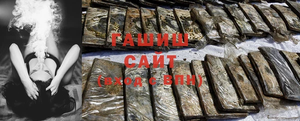 соль ск Инсар