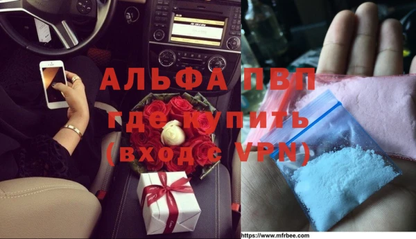 трава Иннополис
