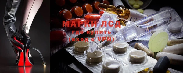 трава Иннополис