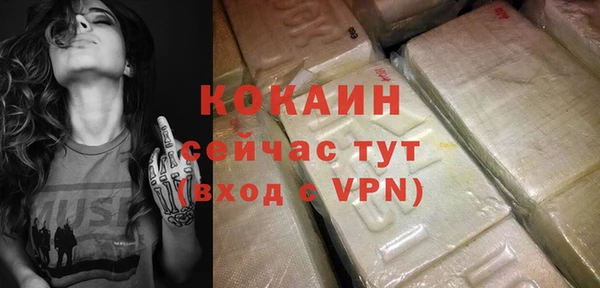 соль ск Инсар